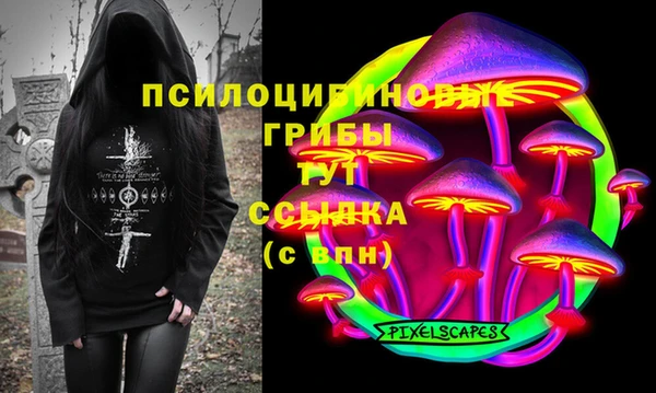 jwh Гусев