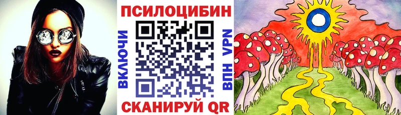 Галлюциногенные грибы Magic Shrooms  гидра ТОР  Арзамас 